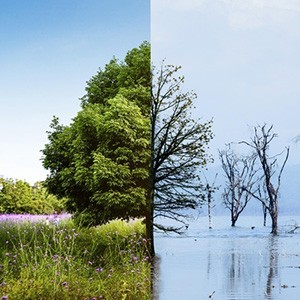 Climate Change