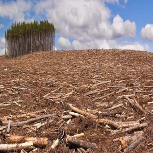 Logging Activities